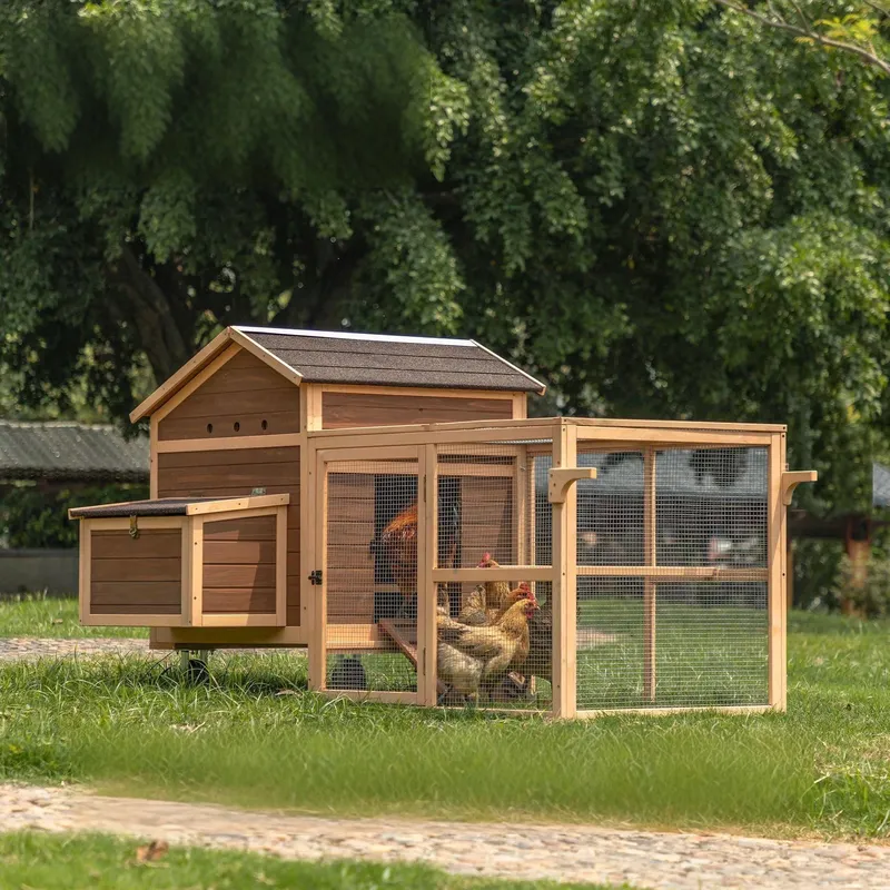 Large Sustainable Wooden Chick - Sustainable Living Walla Walla ulasan dan harga