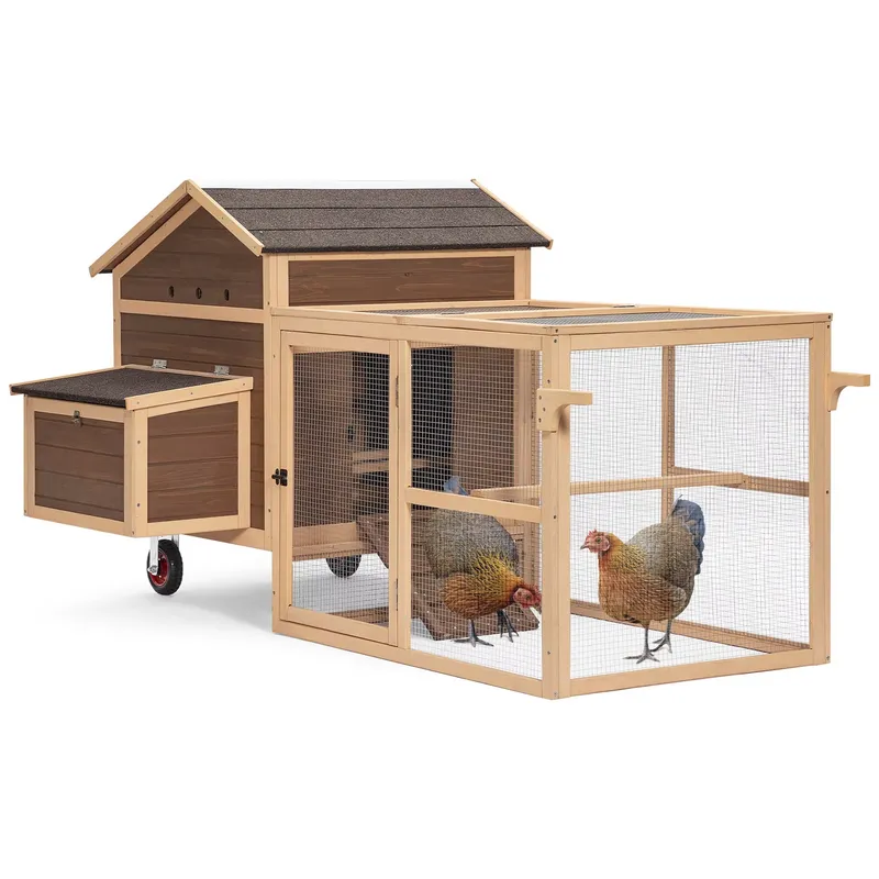 Large Sustainable Wooden Chick - Sustainable Living Walla Walla ulasan dan harga